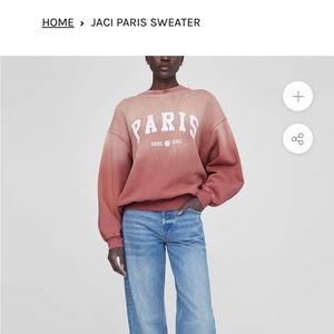 Anine Bing Jaci Paris sweatshirt